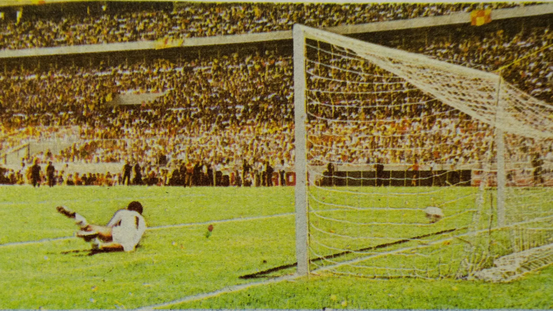 DEPORTES_ARCHIVO (1)